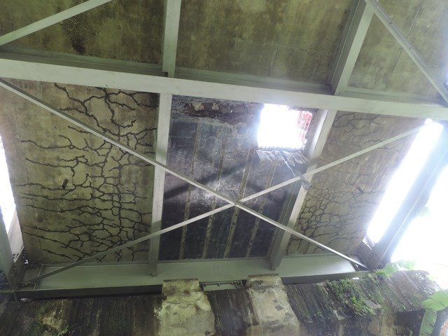 dscn4745