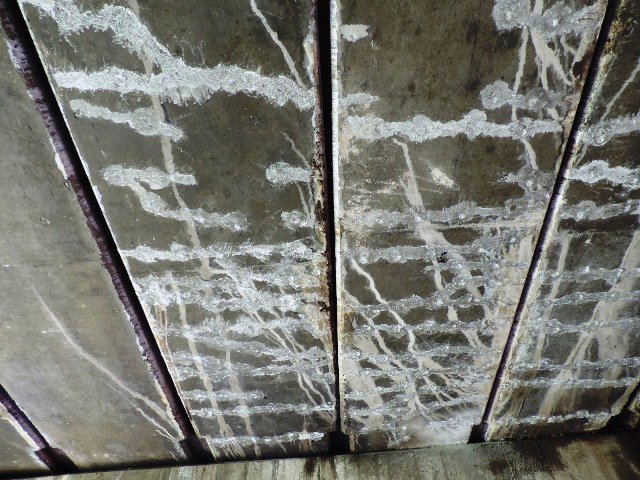 seratfiber5